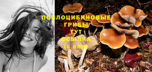 синтетический гашиш Алексеевка