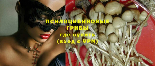 синтетический гашиш Алексеевка